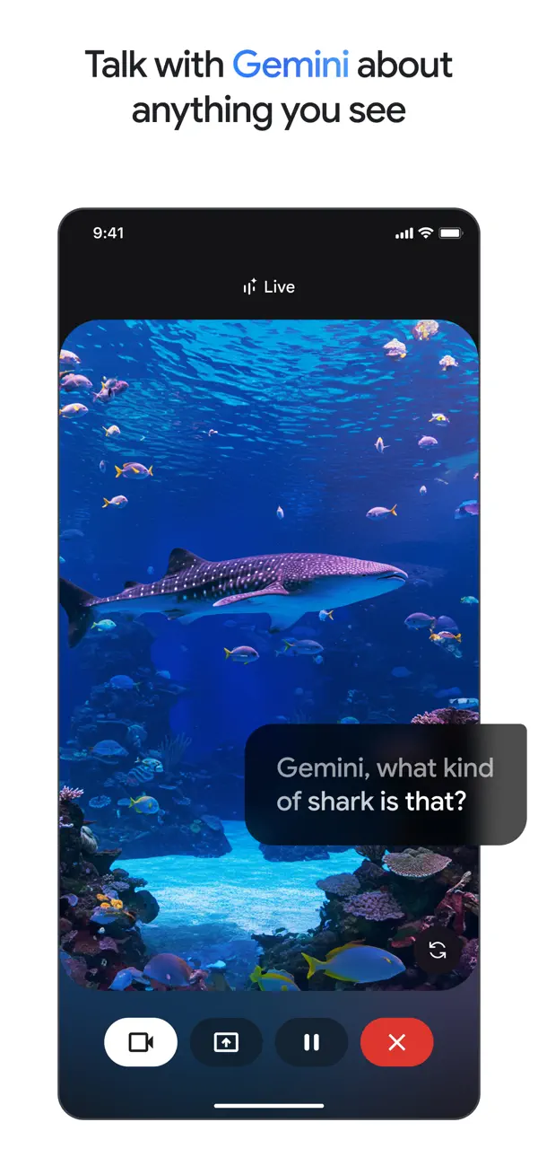 Official Gemini screenshot showing study and learning workflows.