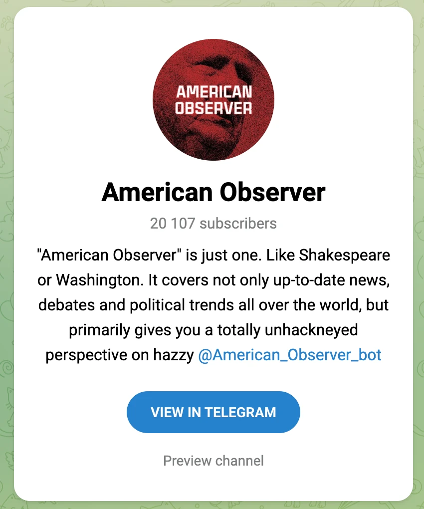 Image 4: Telegram profile for American Observer with non-idiomatic English in the bio.