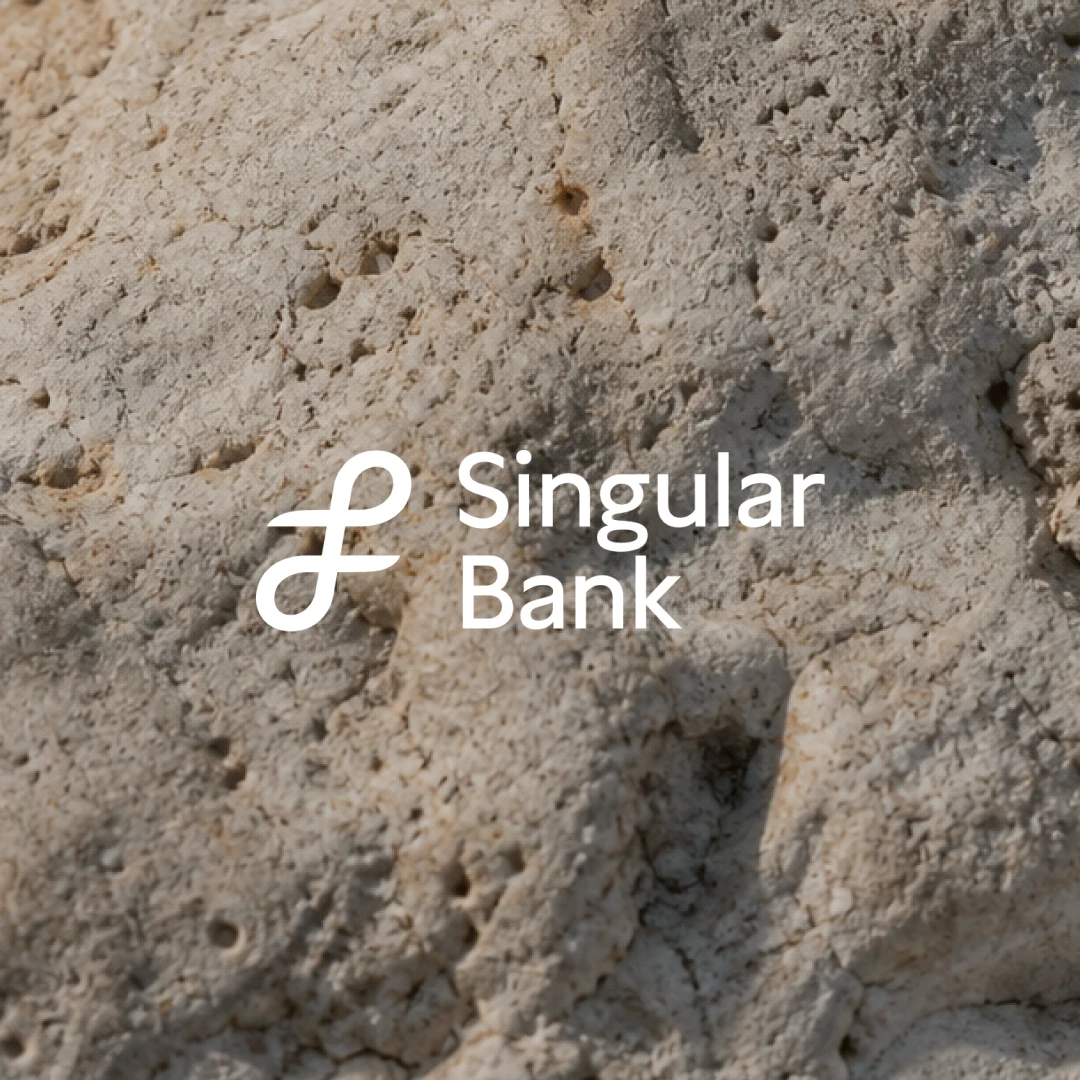 Image 1: Singular Bank logo over a textured stone background.